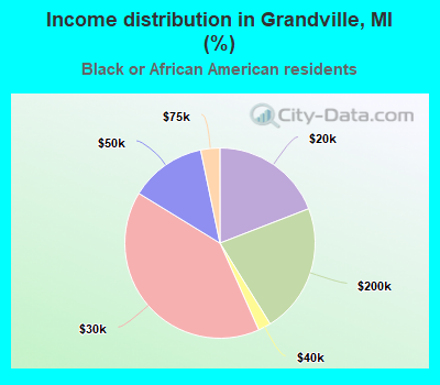 Income distribution in Grandville, MI (%)