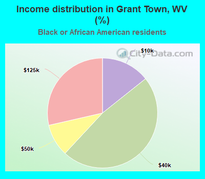 Income distribution in Grant Town, WV (%)
