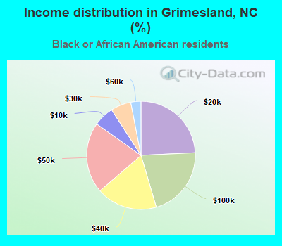 Income distribution in Grimesland, NC (%)