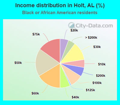Income distribution in Holt, AL (%)