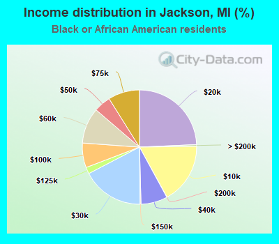 Income distribution in Jackson, MI (%)