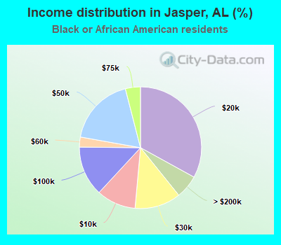 Income distribution in Jasper, AL (%)