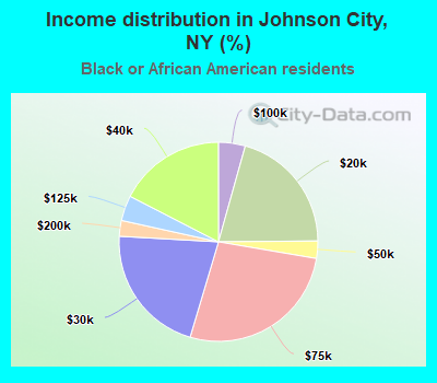 Income distribution in Johnson City, NY (%)
