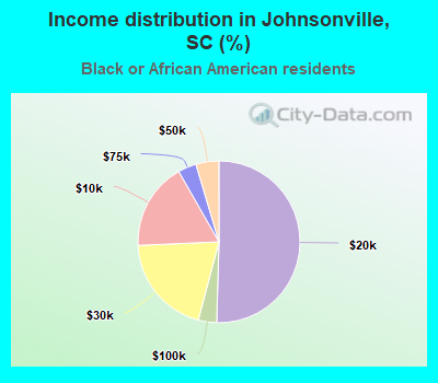 Income distribution in Johnsonville, SC (%)