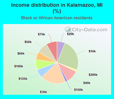 Income distribution in Kalamazoo, MI (%)