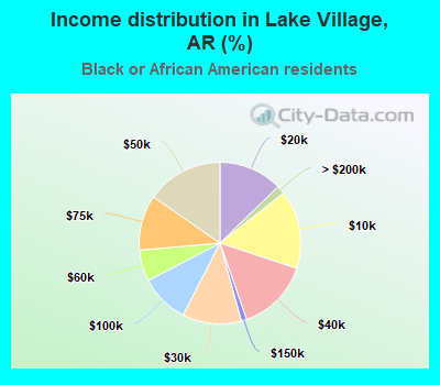 Income distribution in Lake Village, AR (%)