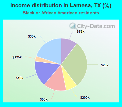 Income distribution in Lamesa, TX (%)