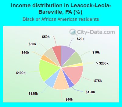 Income distribution in Leacock-Leola-Bareville, PA (%)