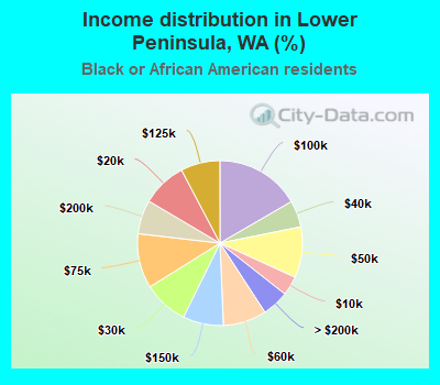 Income distribution in Lower Peninsula, WA (%)
