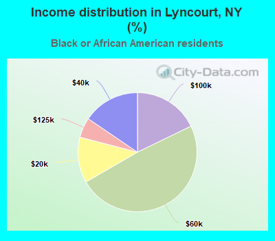 Income distribution in Lyncourt, NY (%)