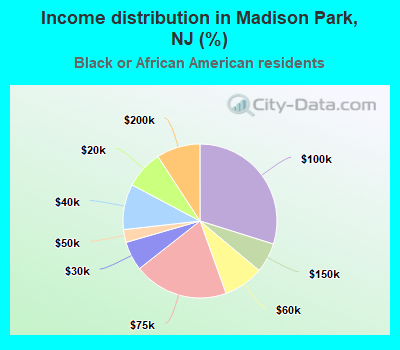 Income distribution in Madison Park, NJ (%)