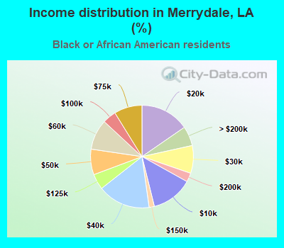 Income distribution in Merrydale, LA (%)