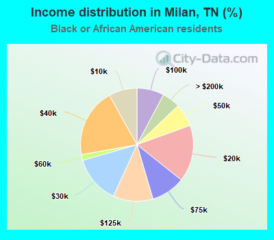 Income distribution in Milan, TN (%)
