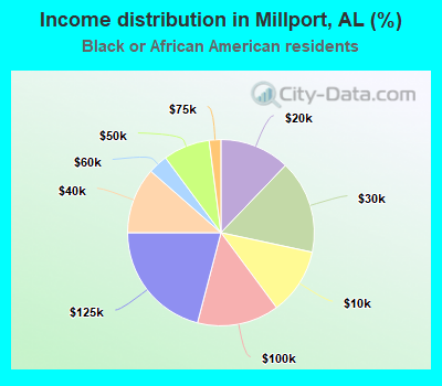 Income distribution in Millport, AL (%)