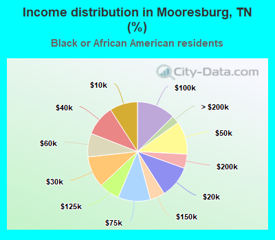 Income distribution in Mooresburg, TN (%)