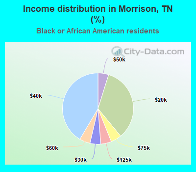 Income distribution in Morrison, TN (%)