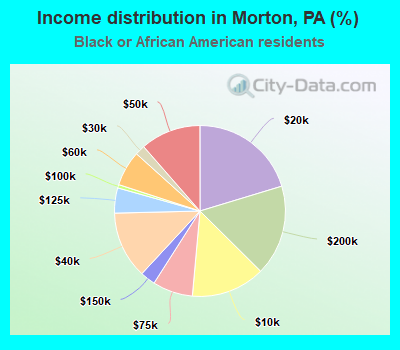 Income distribution in Morton, PA (%)