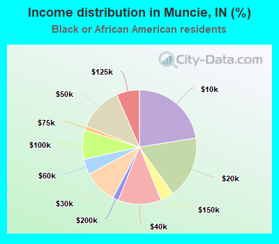 Income distribution in Muncie, IN (%)