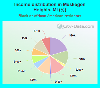 Income distribution in Muskegon Heights, MI (%)