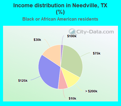 Income distribution in Needville, TX (%)