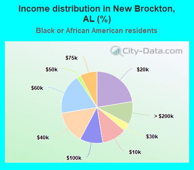 Income distribution in New Brockton, AL (%)