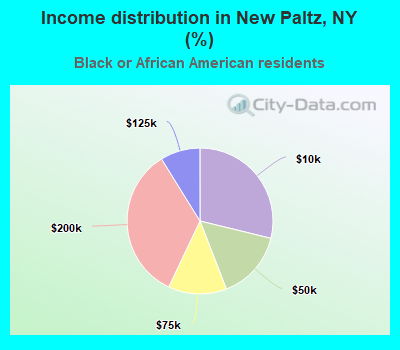 Income distribution in New Paltz, NY (%)