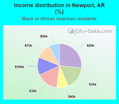 Income distribution in Newport, AR (%)