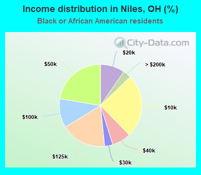 Income distribution in Niles, OH (%)