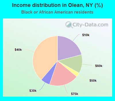 Income distribution in Olean, NY (%)