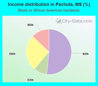 Income distribution in Pachuta, MS (%)