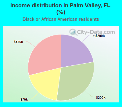 Income distribution in Palm Valley, FL (%)