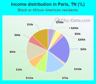 Income distribution in Paris, TN (%)