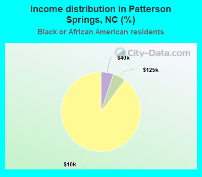 Income distribution in Patterson Springs, NC (%)
