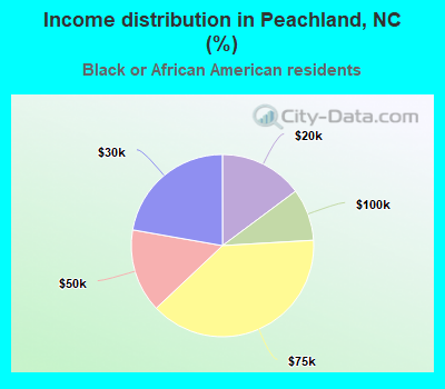 Income distribution in Peachland, NC (%)