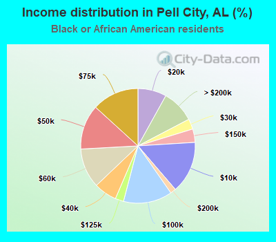 Income distribution in Pell City, AL (%)