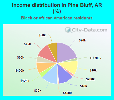 Income distribution in Pine Bluff, AR (%)