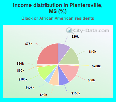 Income distribution in Plantersville, MS (%)