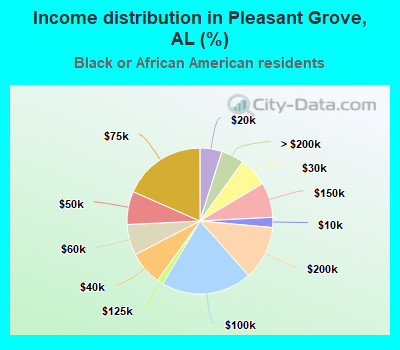 Income distribution in Pleasant Grove, AL (%)