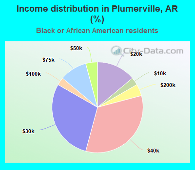Income distribution in Plumerville, AR (%)