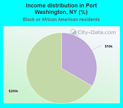 Income distribution in Port Washington, NY (%)