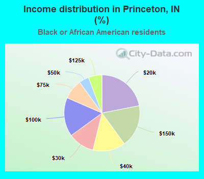 Income distribution in Princeton, IN (%)