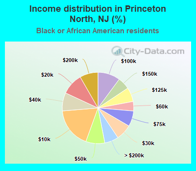 Income distribution in Princeton North, NJ (%)