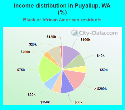 Income distribution in Puyallup, WA (%)