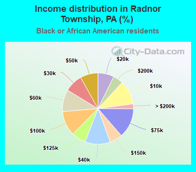 Income distribution in Radnor Township, PA (%)