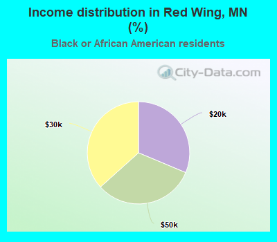 Income distribution in Red Wing, MN (%)