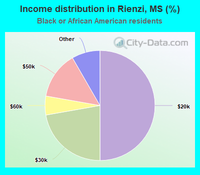 Income distribution in Rienzi, MS (%)