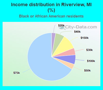 Income distribution in Riverview, MI (%)