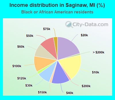 Income distribution in Saginaw, MI (%)