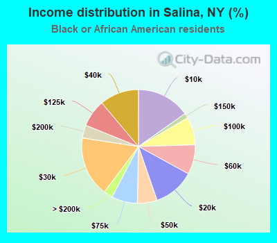 Income distribution in Salina, NY (%)