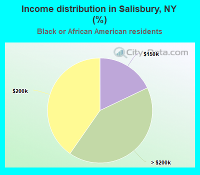 Income distribution in Salisbury, NY (%)